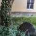 Ci affacciamo tra le inferriate e quello che vediamo  un giardino dalla vegetazione incolta costellato di ombrelli...